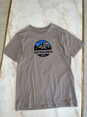 Patagonia slim fit tee